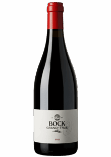 Bock BV Grand true 2022