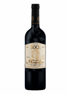 bock-magnifico-2020