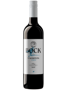 Szt. Márton Portagéza 2025